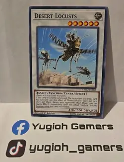 YUGIOH DESERT LOCUSTS CHIM COMMON LIGHT PLAYED 1ST EDITION - Image 1