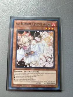 Yugioh Ash Blossom & Joyous Spring SDCB-EN014 Common 1st Edition NM - Image 3