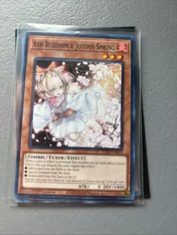 Yugioh Ash Blossom & Joyous Spring SDCB-EN014 Common 1st Edition NM - Image 4