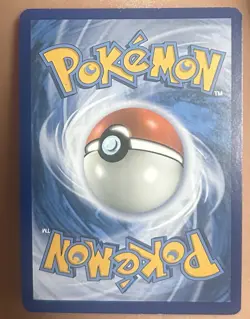 Pokemon Card - 2019 Magikarp & Wailord GX Tag Team SM166 Black Star Promo - Image 2