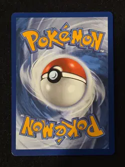 Bloodmoon Ursaluna ex 202/167 Sv06: Twilight Masquerade Holo Pokemon TCG NM - Image 2