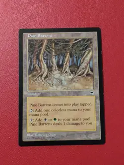 1x Pine Barrens - Tempest - MTG - Magic the Gathering - LP - Image 1