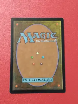 1x Pine Barrens - Tempest - MTG - Magic the Gathering - LP - Image 2