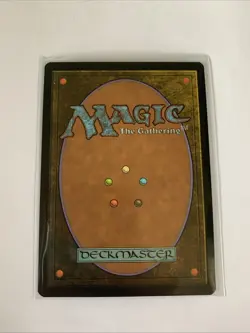 MTG (241/274) - Hallowed Fountain - Basic Land Card (non-foil) NM - Image 3
