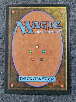 Verduran Enchantress Magic the Gathering Revised (Never Played) MINT MTG (D1K6) - Image 2