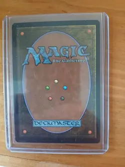 Windswept Heath: Zendikar Rising Expeditions. FOIL - Image 2