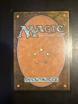 Verdant Catacombs Zendikar Regular MTG Magic The Gathering - Image 2