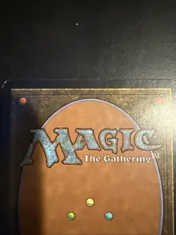 Verdant Catacombs Zendikar Regular MTG Magic The Gathering - Image 3