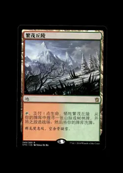 MTG KTK 249 Wooded Foothills NM CHS - Image 1