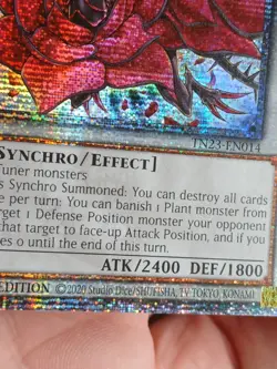 Yugioh Black Rose Dragon Quarter Century TN23-EN014 Near Mint - Image 4