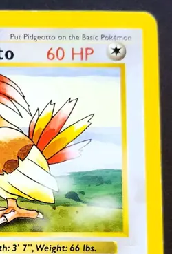 Pidgeotto Shadowless Base Set 22/102 Non Holo Pokemon TCG Card - Image 4