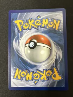 Pokemon Snorunt Holo Rare Card 188/182 Sv04: Paradox Rift (NM) - Image 2