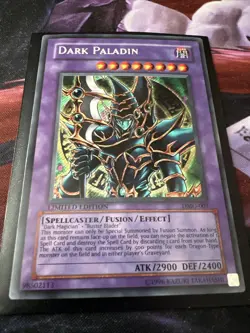 Dark Paladin DMG-001 Limited Edition LP - Image 2