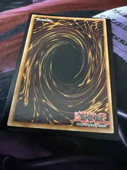 Dark Paladin DMG-001 Limited Edition LP - Image 4