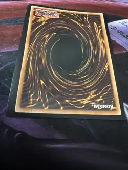 Dark Paladin DMG-001 Limited Edition LP - Image 5