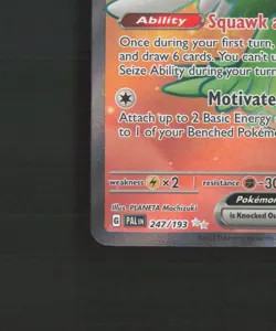 Squawkabilly ex 247/193 Paldea Evolved Full Art Ultra Rare Holo Pokemon Card LP+ - Image 5