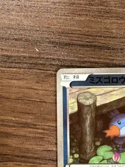 Japanese Pokemon Mudkip 026/131 CP4: Premium Champion Pack NM - Image 3