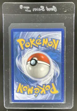 2025 Pokemon Mega Evolution Camerupt ex Double Rare #022/132 - Image 2