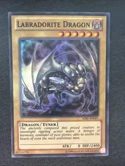Labradorite Dragon SHSP-EN001 Shadow Specters Unlimited - Image 1