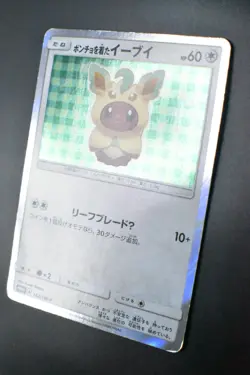 Poncho Wearing Eevee 142/SM-P Eevee Mega Campaign Promo 2017 Holo Pokemon Card - Image 4