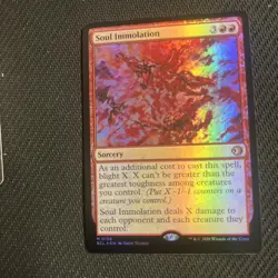 Soul Immolation Lorwyn Eclipsed Foil - Image 1