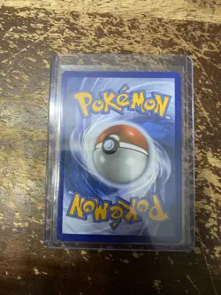 2026 Pokemon First Partner Illustration Coll. Squirtle MEP Black Star Promo NEW - Image 2