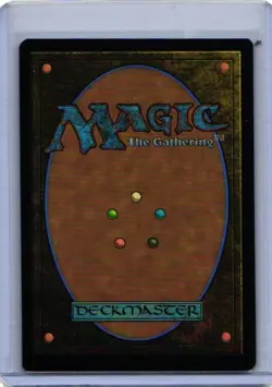 Rishkar's Expertise -M3C- 411 Normal NM - Magic: The Gathering - Image 2