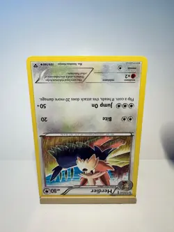 Herdier 109/146 Uncommon XY Pokemon Near Mint - Image 2