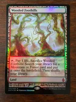 MtG - Wooded Foothills - Zendikar Expeditions - 019/045 - Mythic - Foil - Image 1