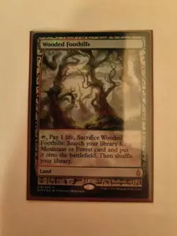 1x Wooded Foothills Battle For Zendikar Expedition MtG NM Near Mint Foil 3 Avail - Image 1