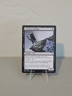 MTG Cauldron Familiar LP Throne Of Eldraine - Image 1