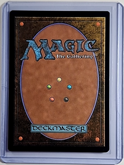 MTG Magic the Gathering SF2 Street Fighter 2 Secret Lair 430 Ken Burning Brawler - Image 2