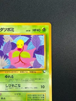 [NM] Bellsprout Pokemon Card Japanese No.069 Vending Series Vintage Glossy 8A17 - Image 5