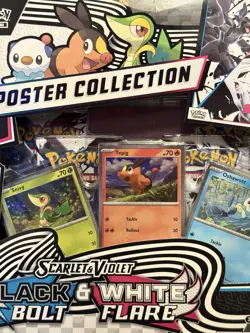 Pokemon TCG Black Bolt & White Flare Unova Poster Collection – NEW SEALED - Image 3