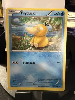 Pokemon Psyduck Basic 44/95 70/109 16/122 65/82 53/62TCG English 5-Card Lot - Image 5