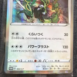 Rayquaza 003/S-P PROMO Holo 2019 Set of 2 Pokemon TCG Japanese card JP4564 - Image 5