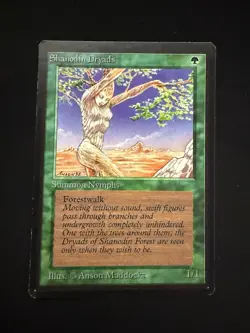 Magic the Gathering: Beta Shanodin Dryads MTG Beta - Image 1