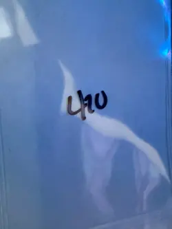 Magic the Gathering: Beta Shanodin Dryads MTG Beta - Image 3