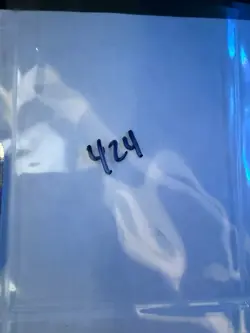 Magic the Gathering: Beta Shanodin Dryads MTG Beta - Image 3