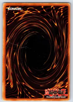 MP Yugioh Red-Eyes Black Dragon SDJ-001 1st Edition Holo Rare Yu-Gi-Oh! - Image 2