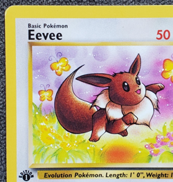 1st Edition Eevee - Jungle - #51/64 - Vintage Pokemon Card 1999 WOTC - Image 2