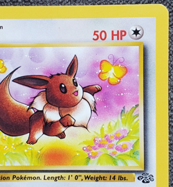 1st Edition Eevee - Jungle - #51/64 - Vintage Pokemon Card 1999 WOTC - Image 3