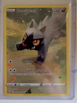 Pokemon TCG Poochyena Crown Zenith: Galarian Gallery GG33/GG70 Holo Holo Rare - Image 1