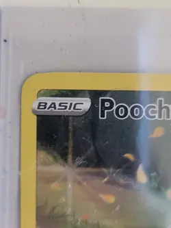 Pokemon TCG Poochyena Crown Zenith: Galarian Gallery GG33/GG70 Holo Holo Rare - Image 3
