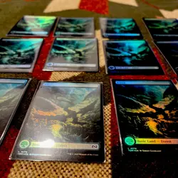 Forest (FOIL) x12- MTG Tarkir: Dragonstorm TDM #276 all Foil Lot - Image 3