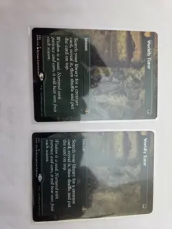 mtg, Worldly Tutor (Borderless) Dominaria Remastered Regular NM - Image 5