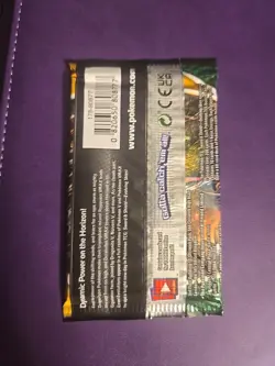 Pokemon TCG Evolving Skies Booster Pack. Factory Sealed. - Image 2