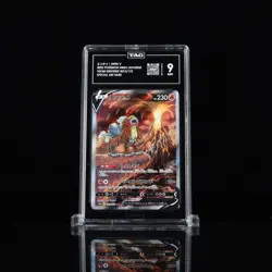 Pokemon TCG ENTEI V SWSH Japanese VStar Universe 213/172 Graded MINT Tag 9 SAR - Image 1