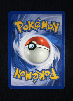 Pokemon Blastoise 4/165 Holo Expedition (Moderately Played) - Image 2