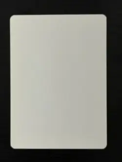 Magic MTG Italian Revised Forest Artist Proof Near Mint - Only 50 Exist! - Image 2